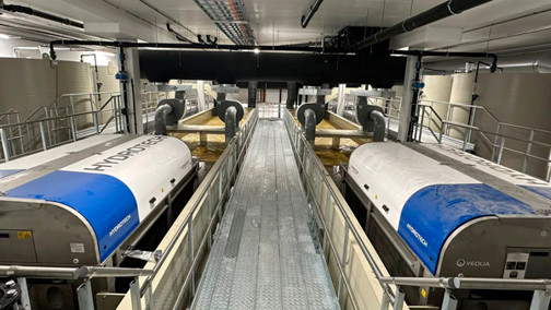 Neptu 600X600 Dd033356