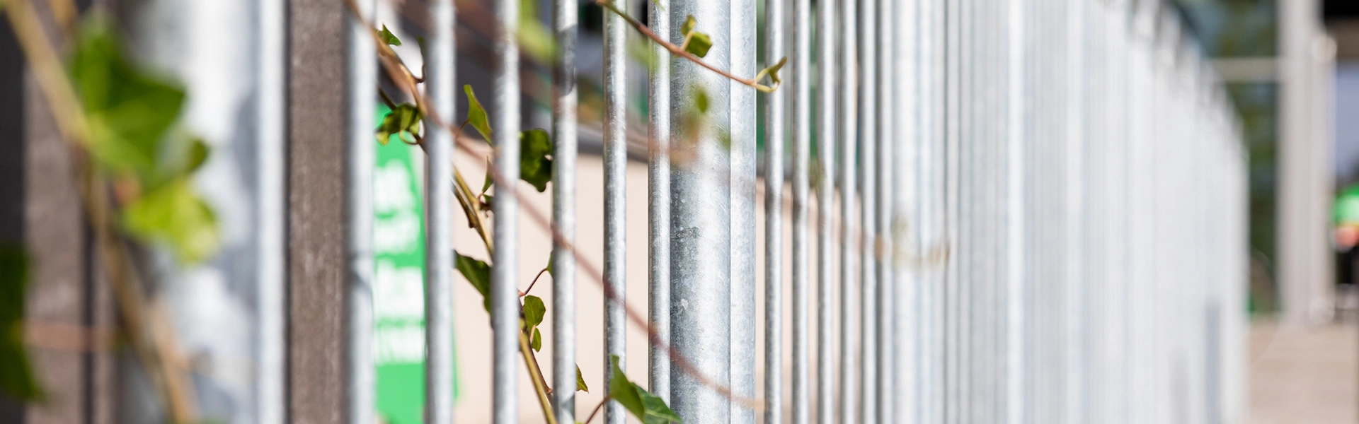 Raecke Header Ag00004542