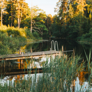 sommar 700x700 ag00004997
